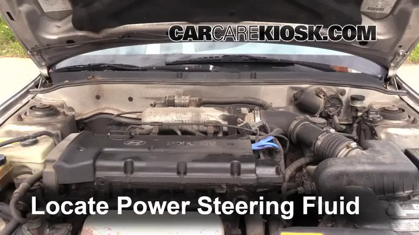 1999 Hyundai Elantra GL 2.0L 4 Cyl. Sedan (4 Door) Power Steering Fluid